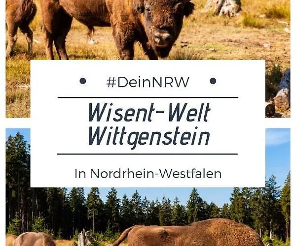 Am Denkmal * Bad Berleburg